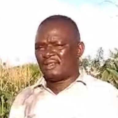Shabani Kamphambe in his maize field