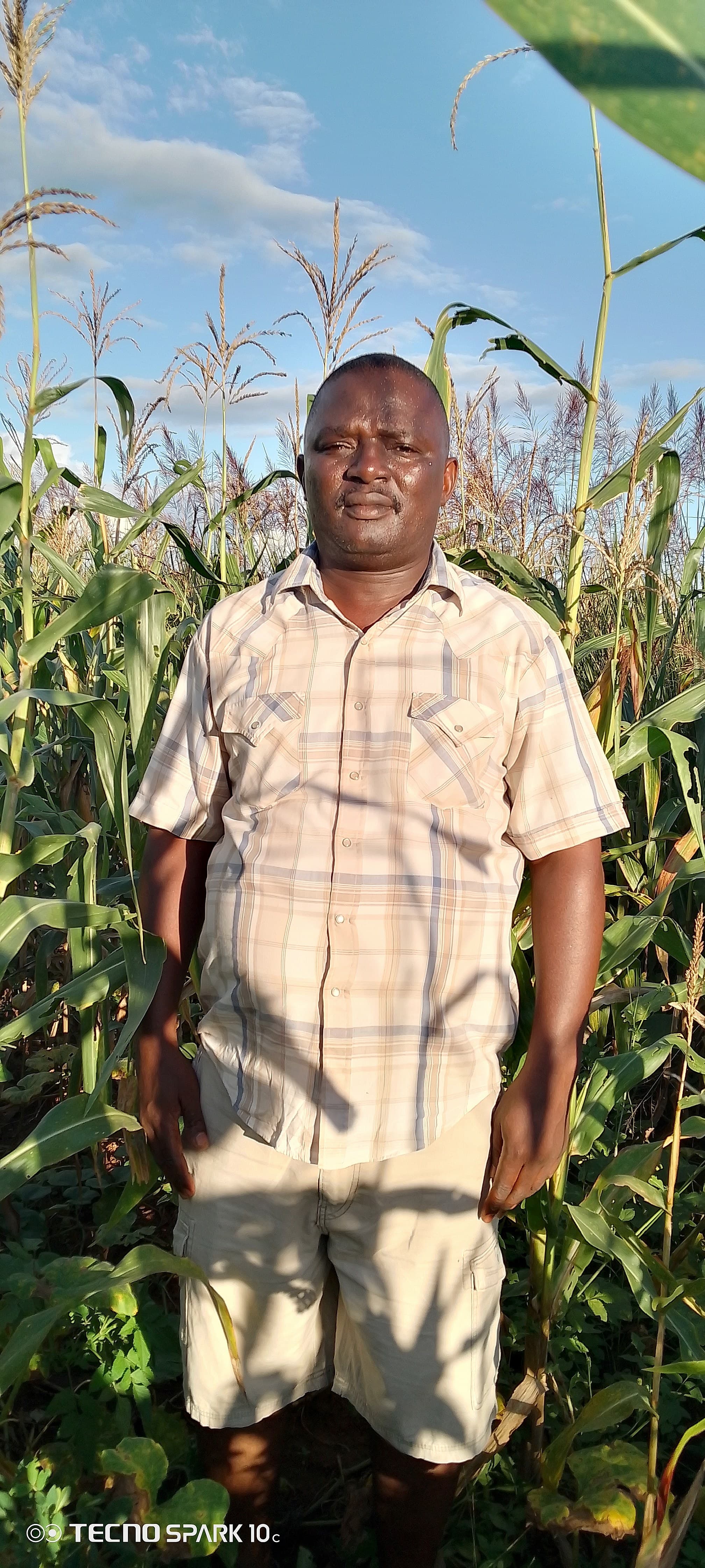 Shabani stands proudly in his field among tall, healthy maize plants under a partly cloudy sky.