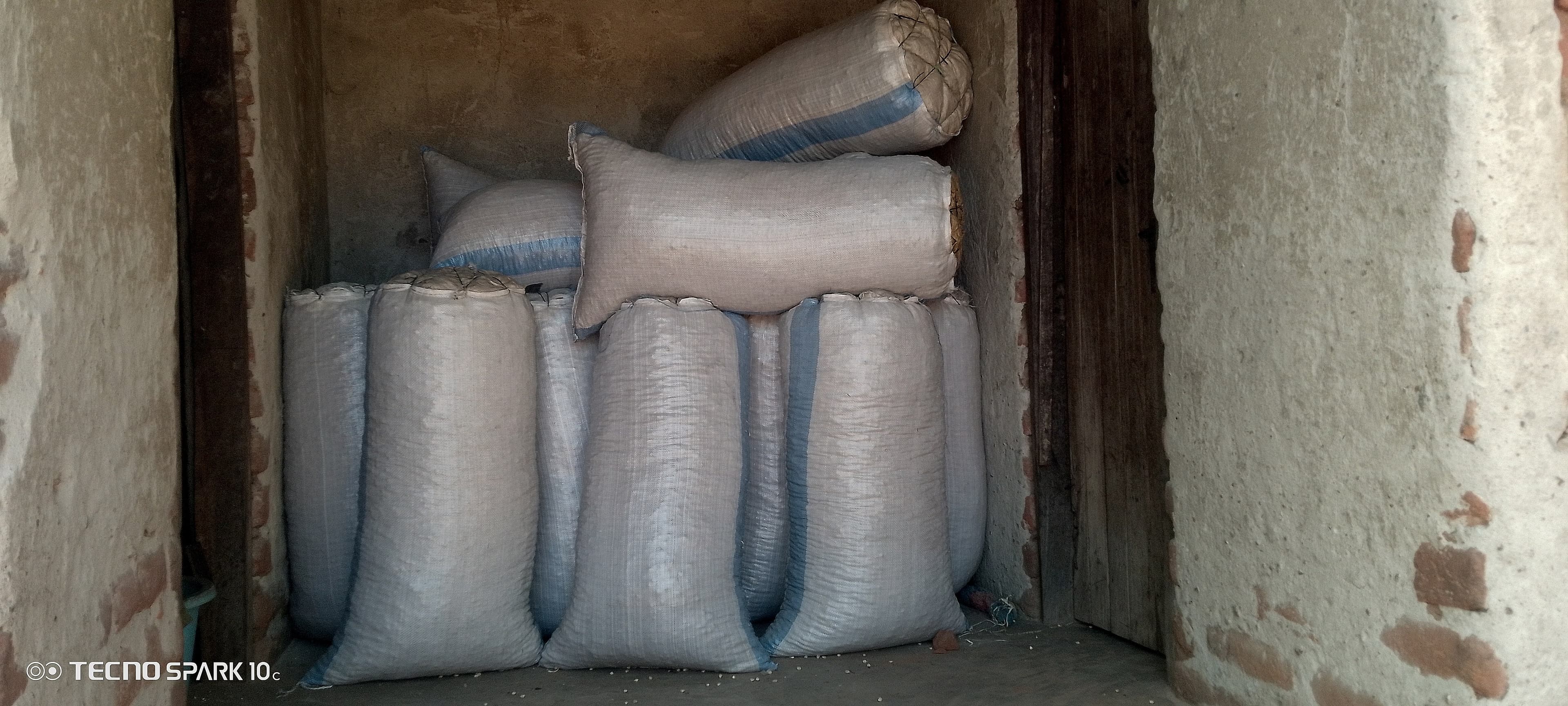 Large woven polypropylene sacks filled with harvested grain or legumes are stacked inside a small storage room with mud and brick walls.