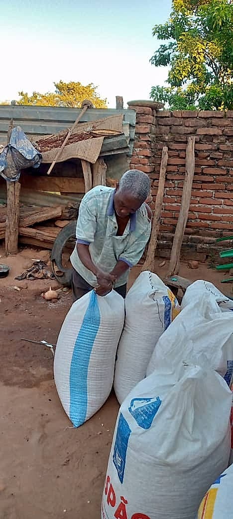 Shabani ties and arranges large woven sacks of harvested crops in a dusty yard beside a brick wall.