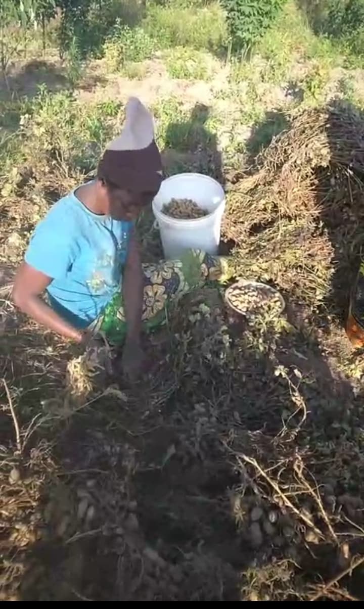 Farm photo