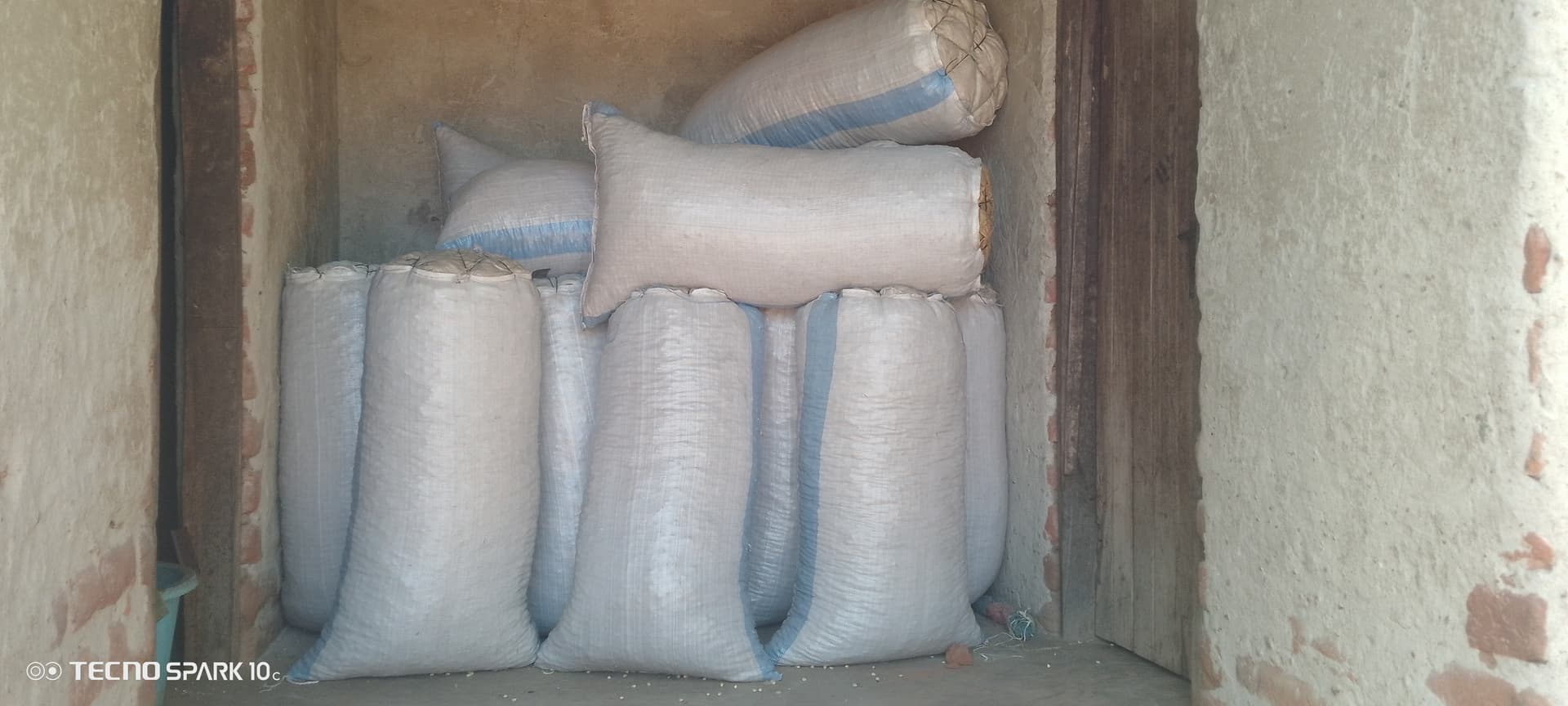 Groundnuts packed in sucked after harvest