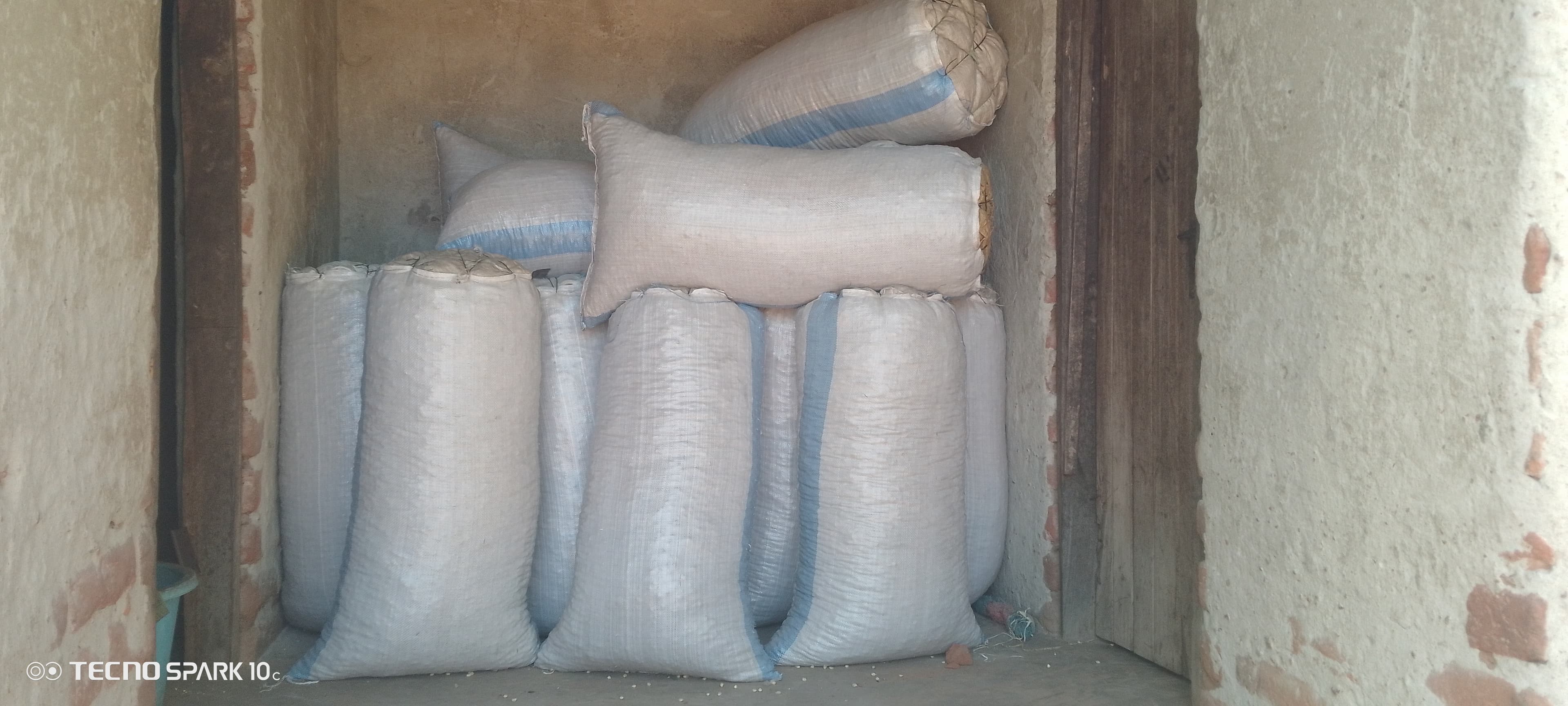 Groundnuts packed in sucked after harvest
